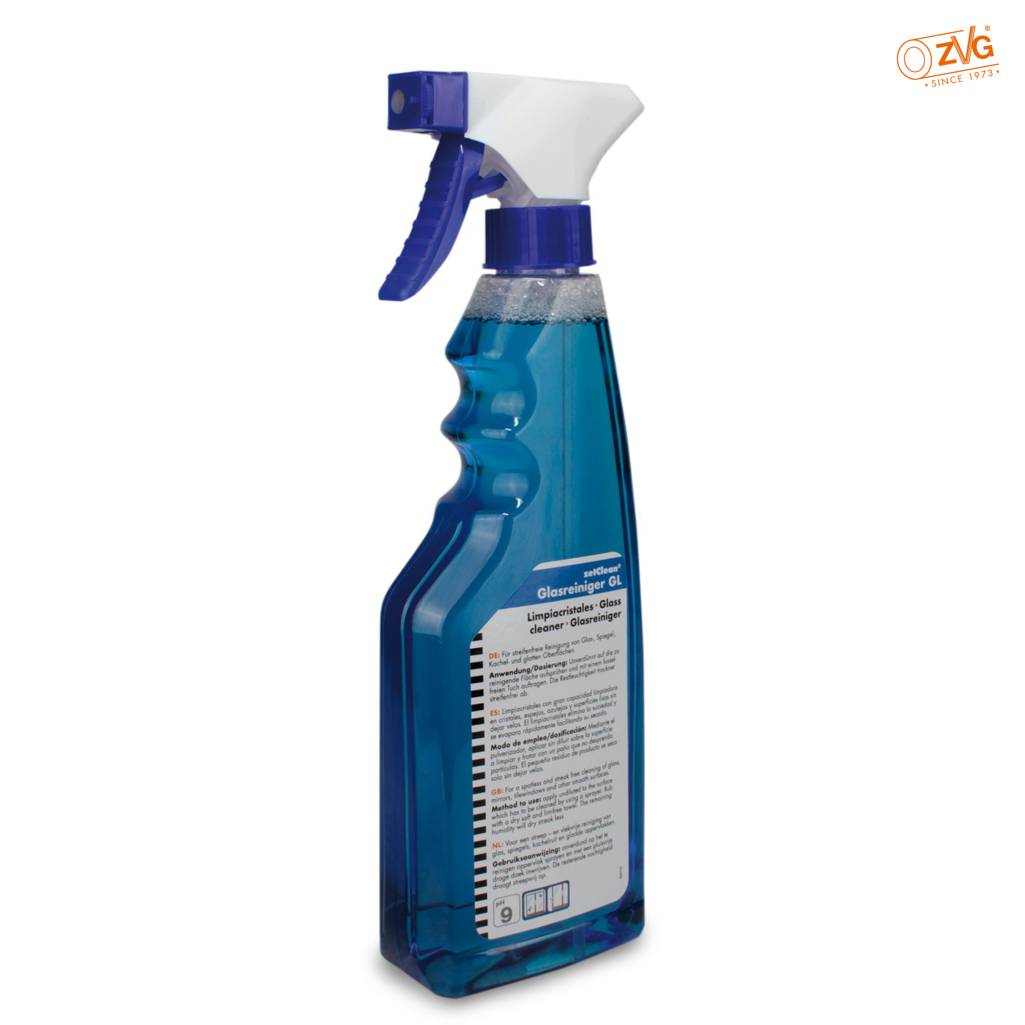 Glasreinger 500ml Sprühpistole