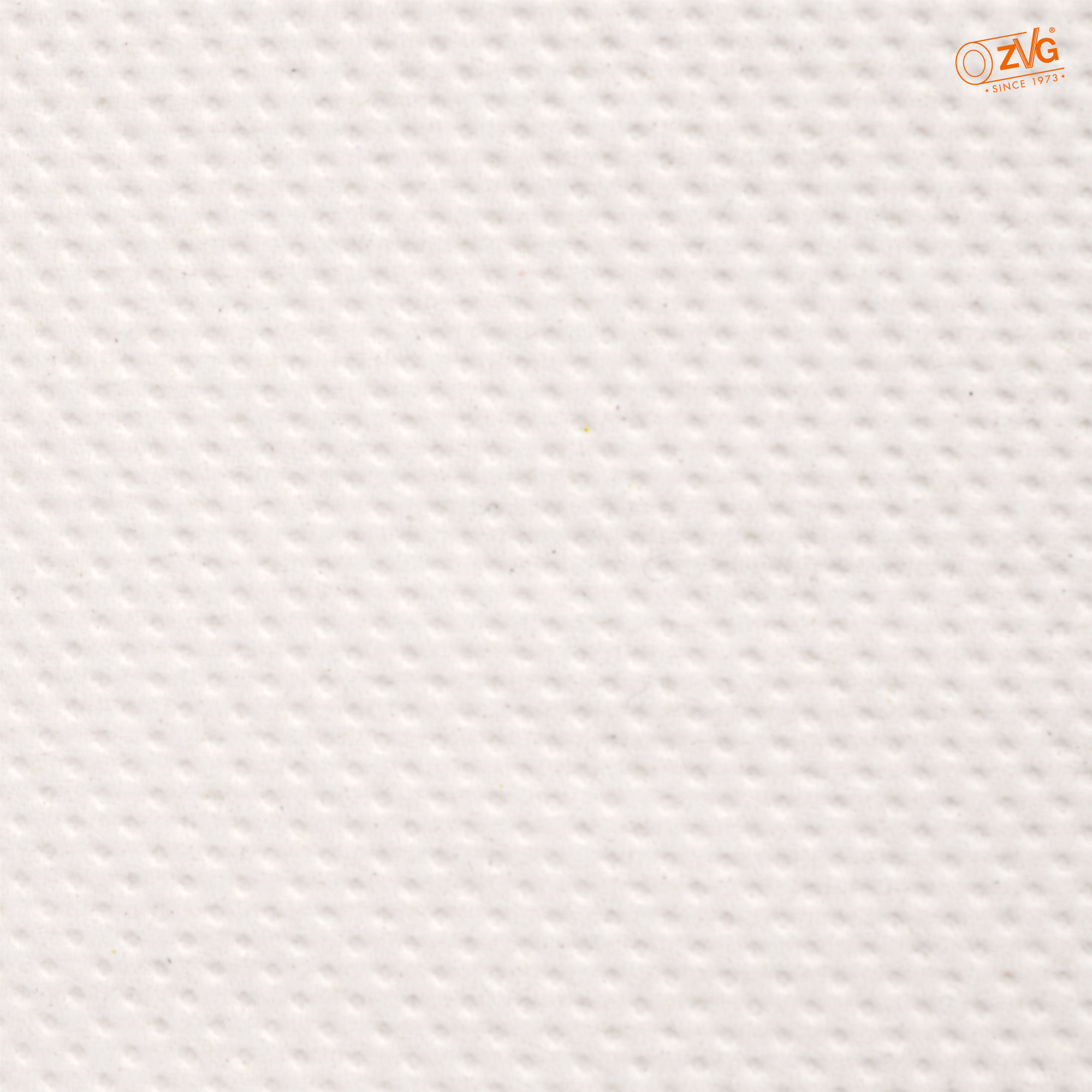 Putztuchrolle Multizell®, 2-lagig ( VPE 2, 22x36 cm )
